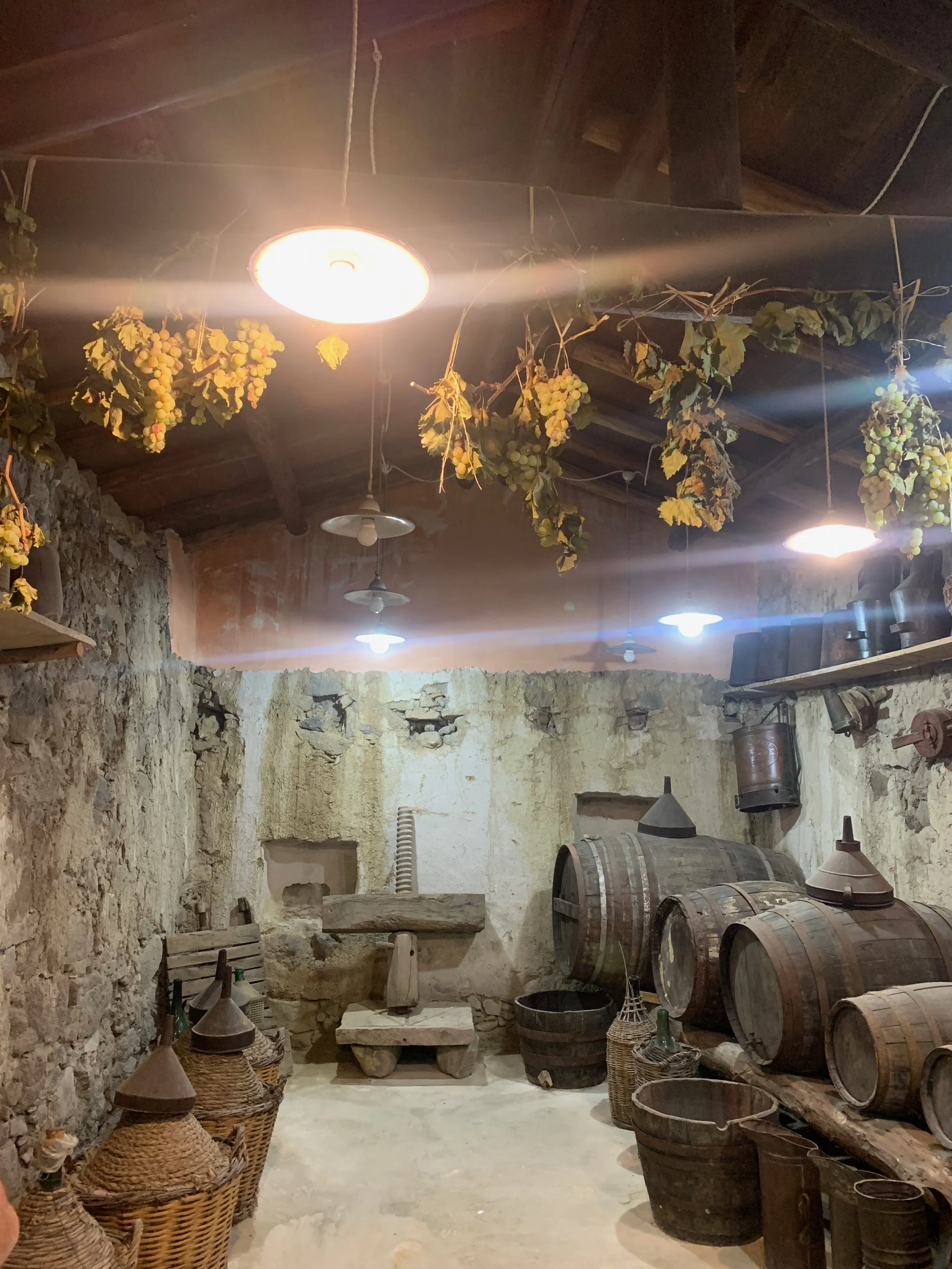 A rustic cellar with stone walls, wooden barrels, and hanging bunches of grapes from the ceiling.