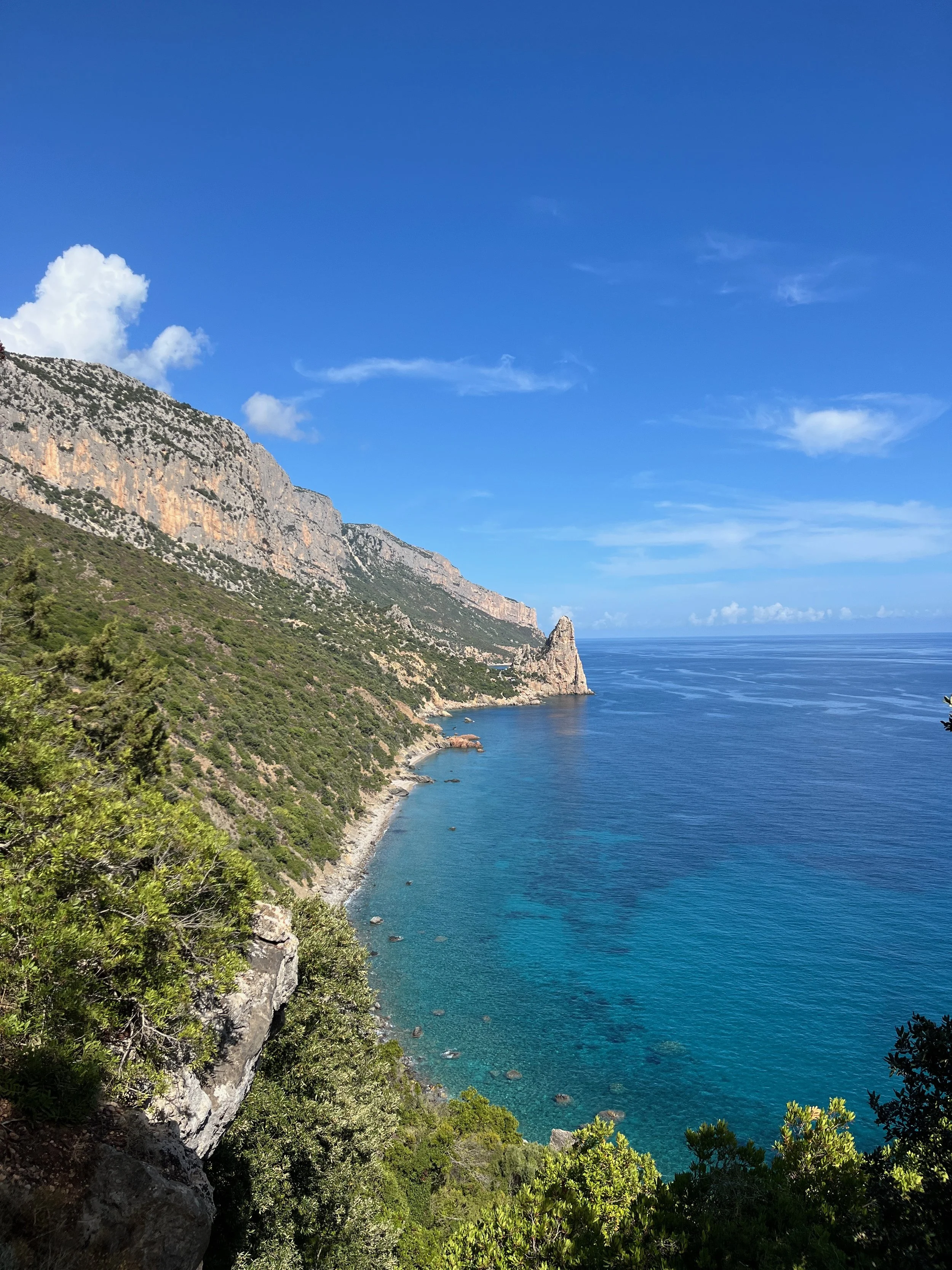 Coastal view of a rugged cliffside with lush green vegetation, a small beach, and clear blue ocean waters under a bright blue sky with scattered clouds.