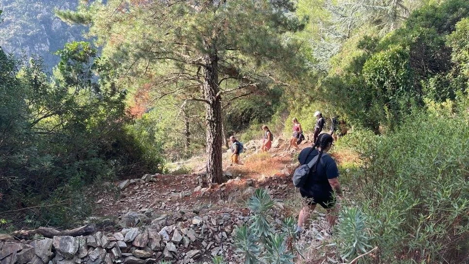A group of people hiking on a rocky trail surrounded by lush green trees and bushes.