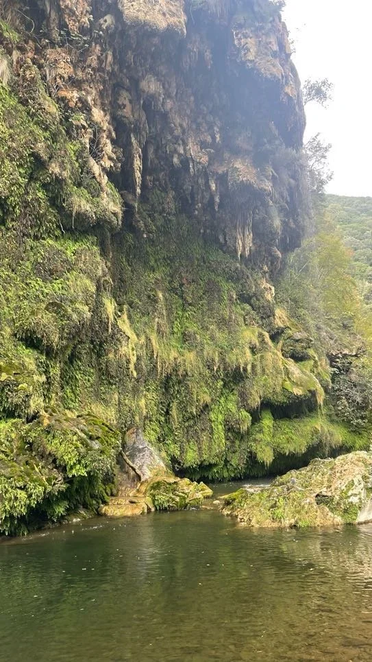 A rocky cliffside covered in green moss and vegetation beside a calm river.