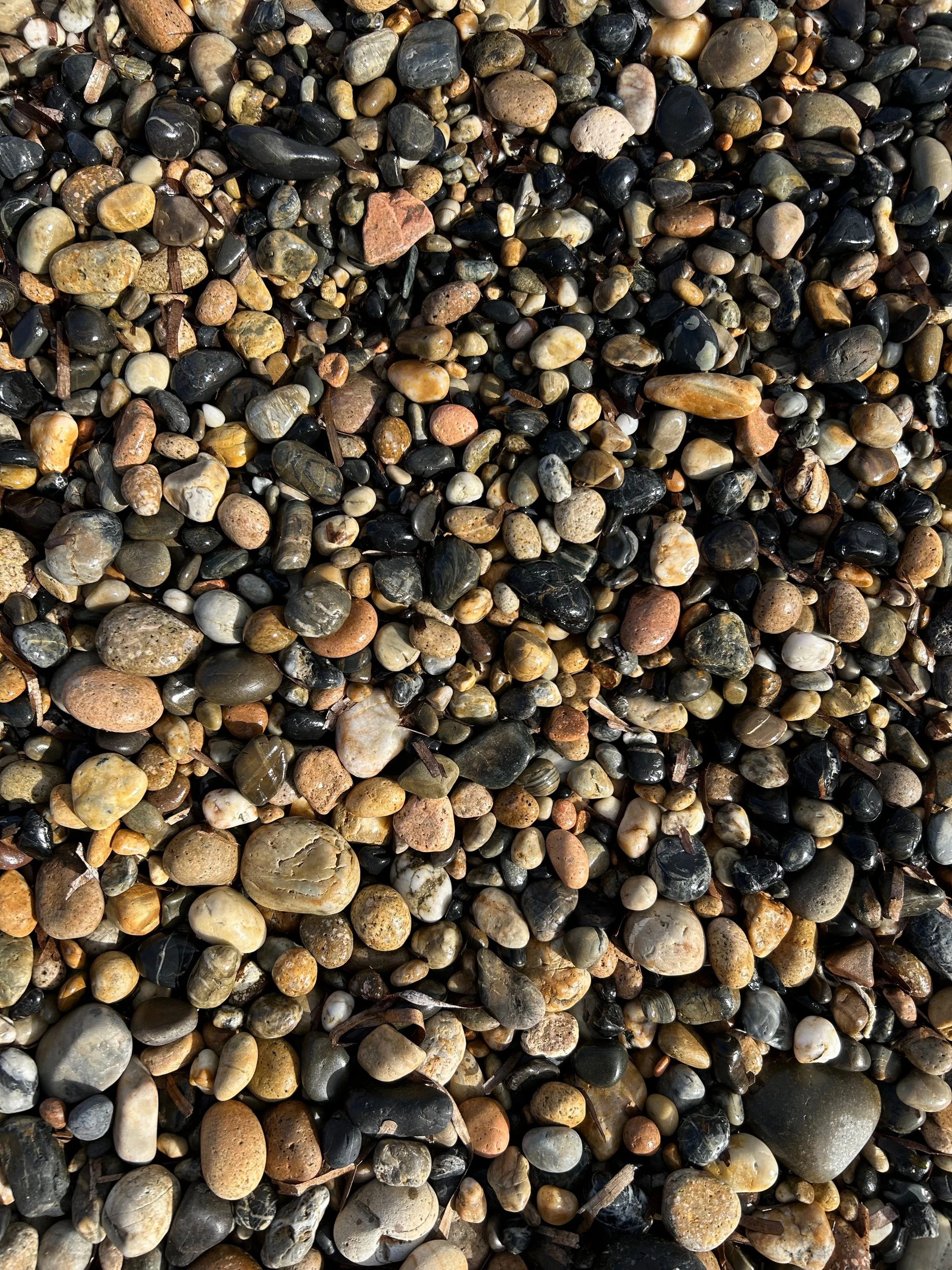 Close-up of mixed small pebbles and stones on the ground.