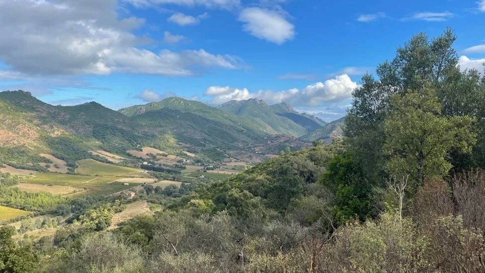 Scenic view of a valley with rolling hills and mountains in the background under a partly cloudy sky, with green trees and vegetation in the foreground.