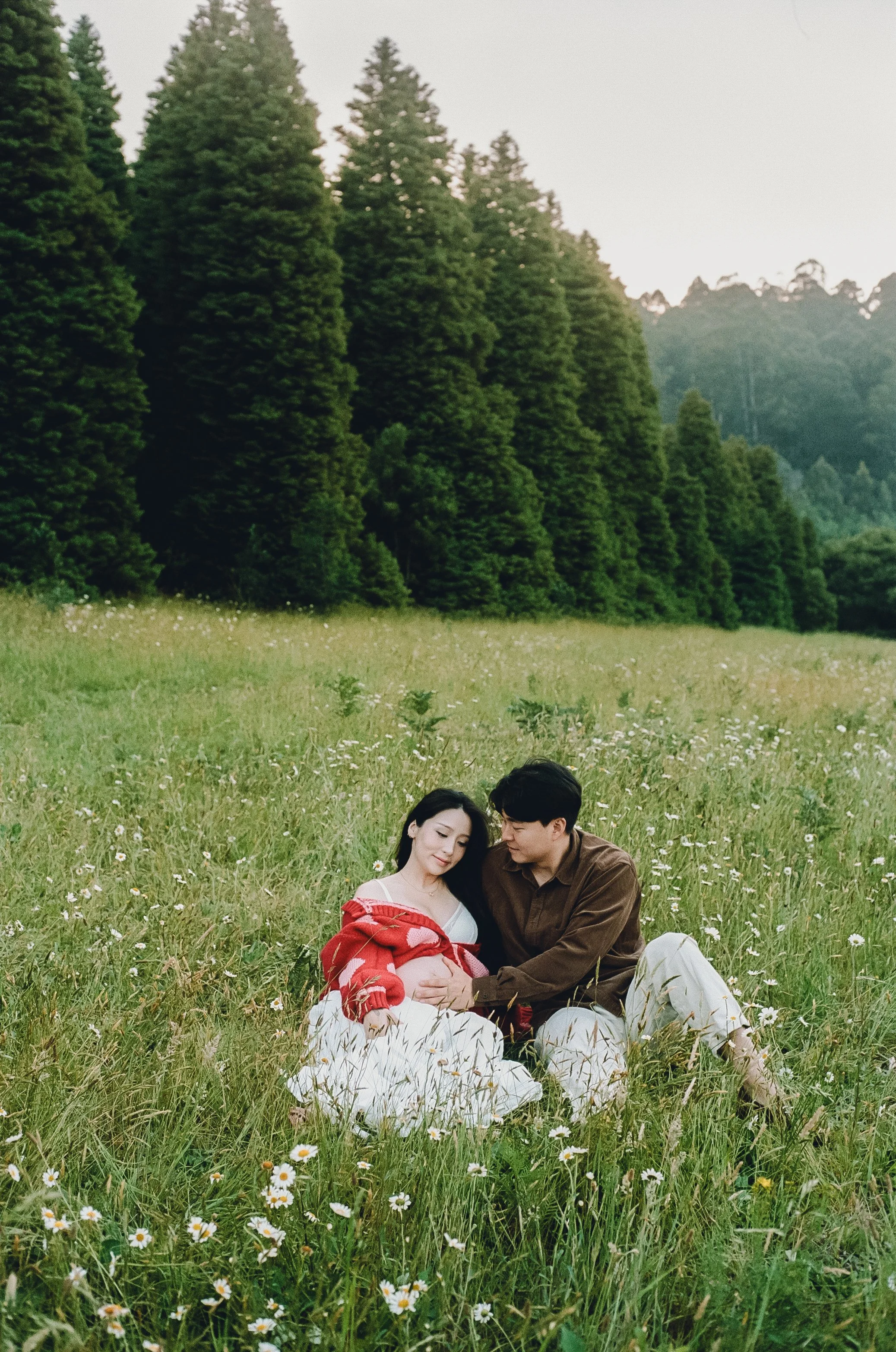 A couple sitting in a grassy field filled with daisies, surrounded by tall green trees, with the woman pregnant and wearing a red cardigan, and the man gazing at her lovingly.