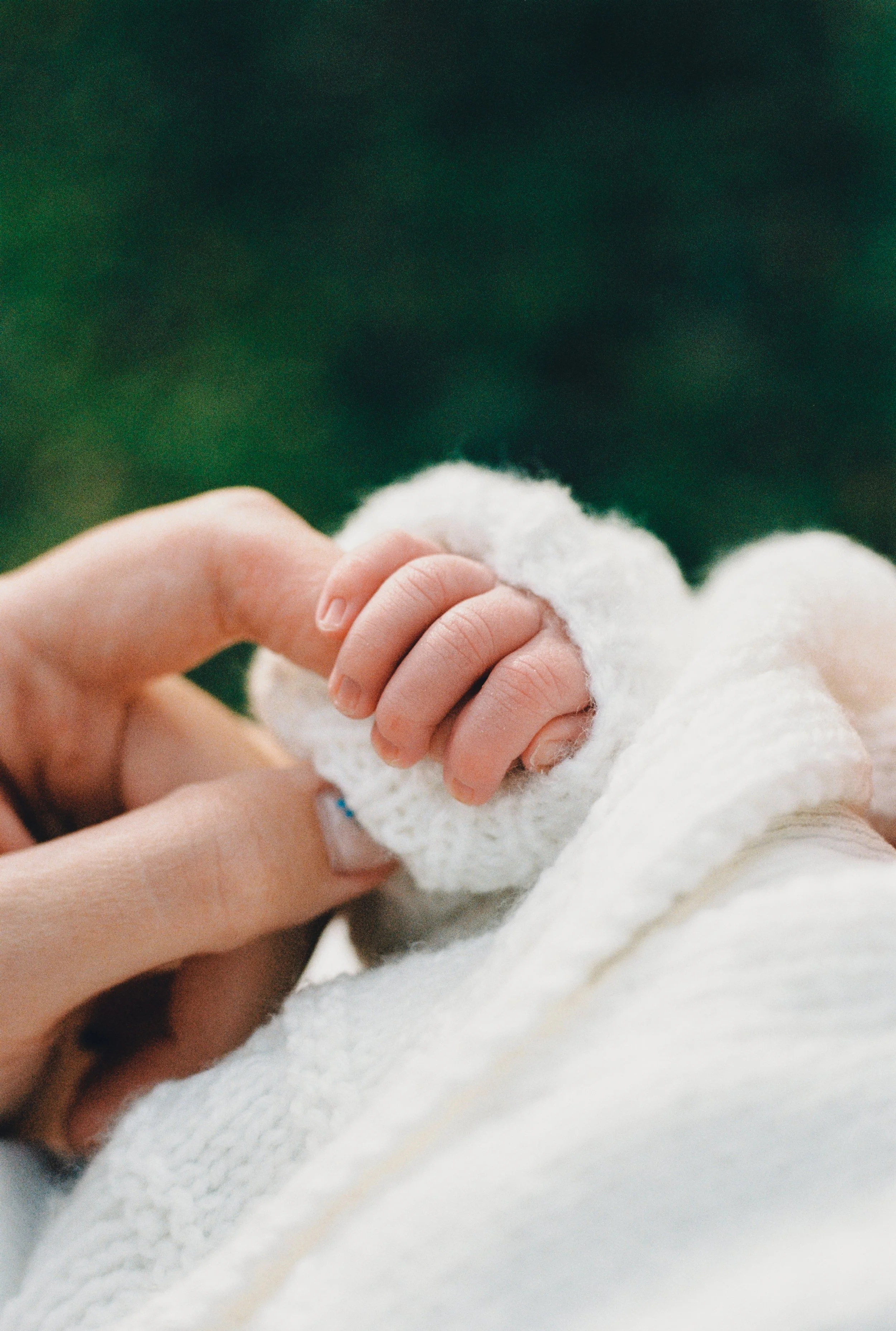 Close-up of an adult hand holding a baby's tiny hand with a soft, white knitted sweater visible.