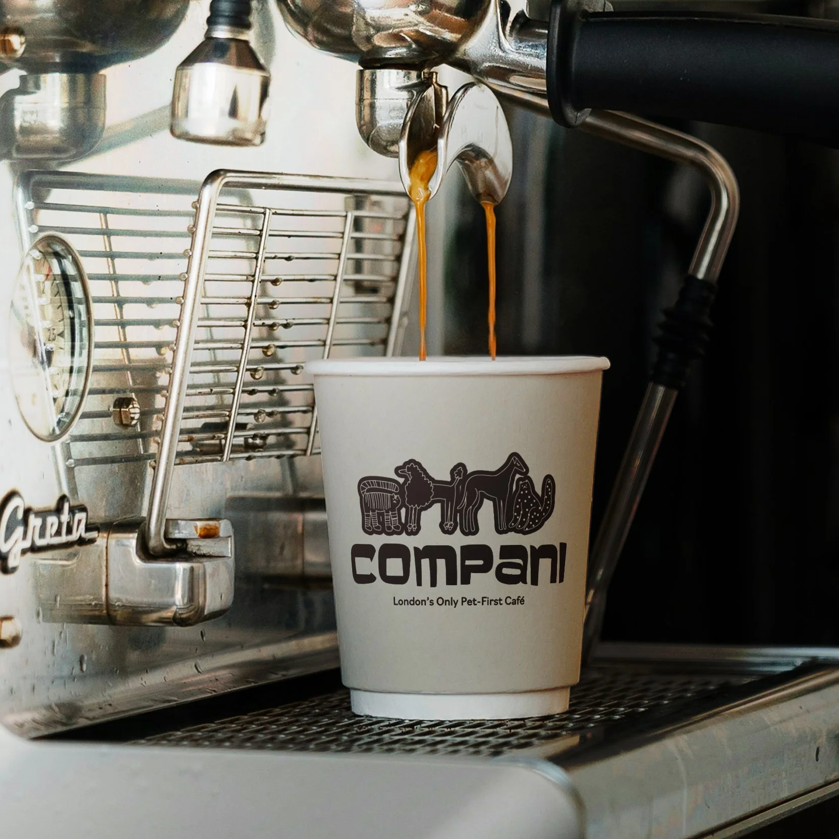 Take Away Cup Design