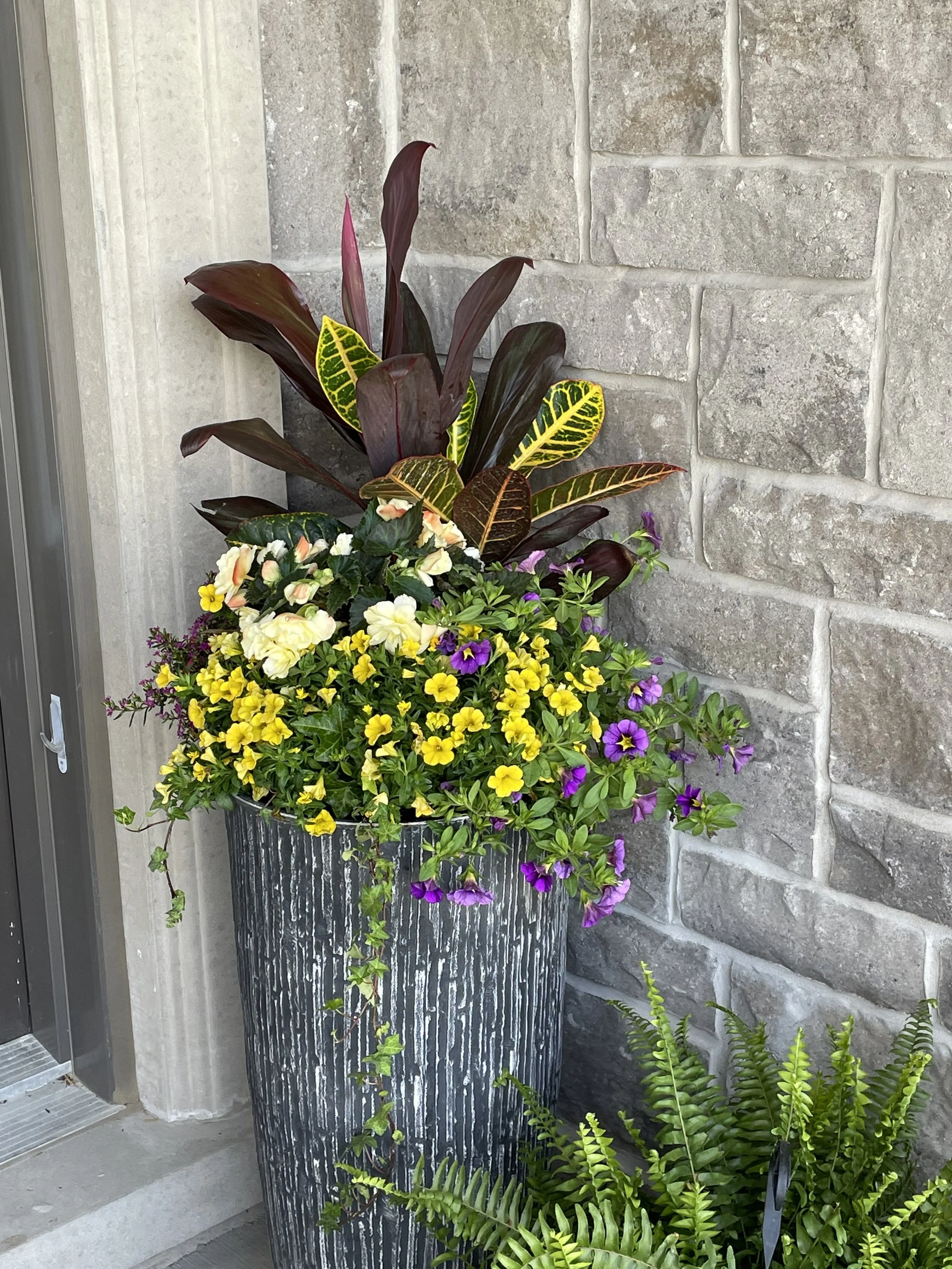 Tropical Partial Shade Planter