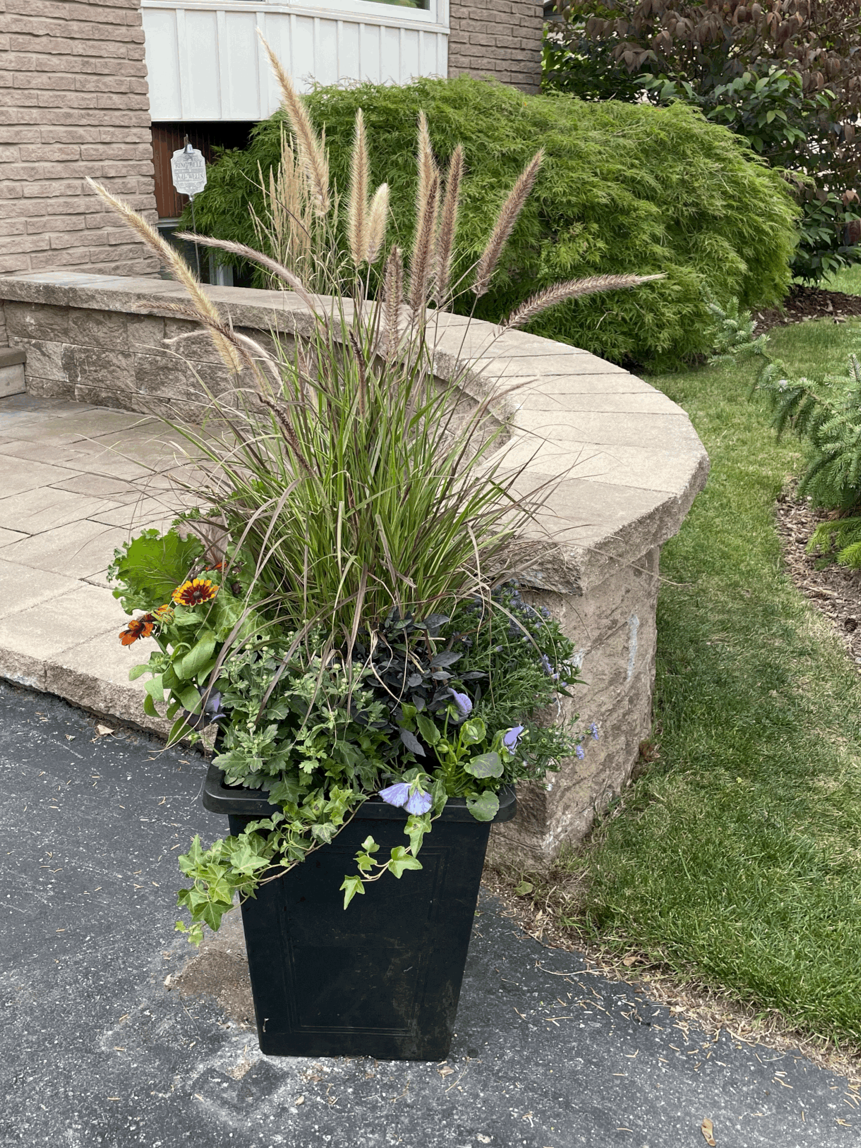 Tall Mixed Fall Planter