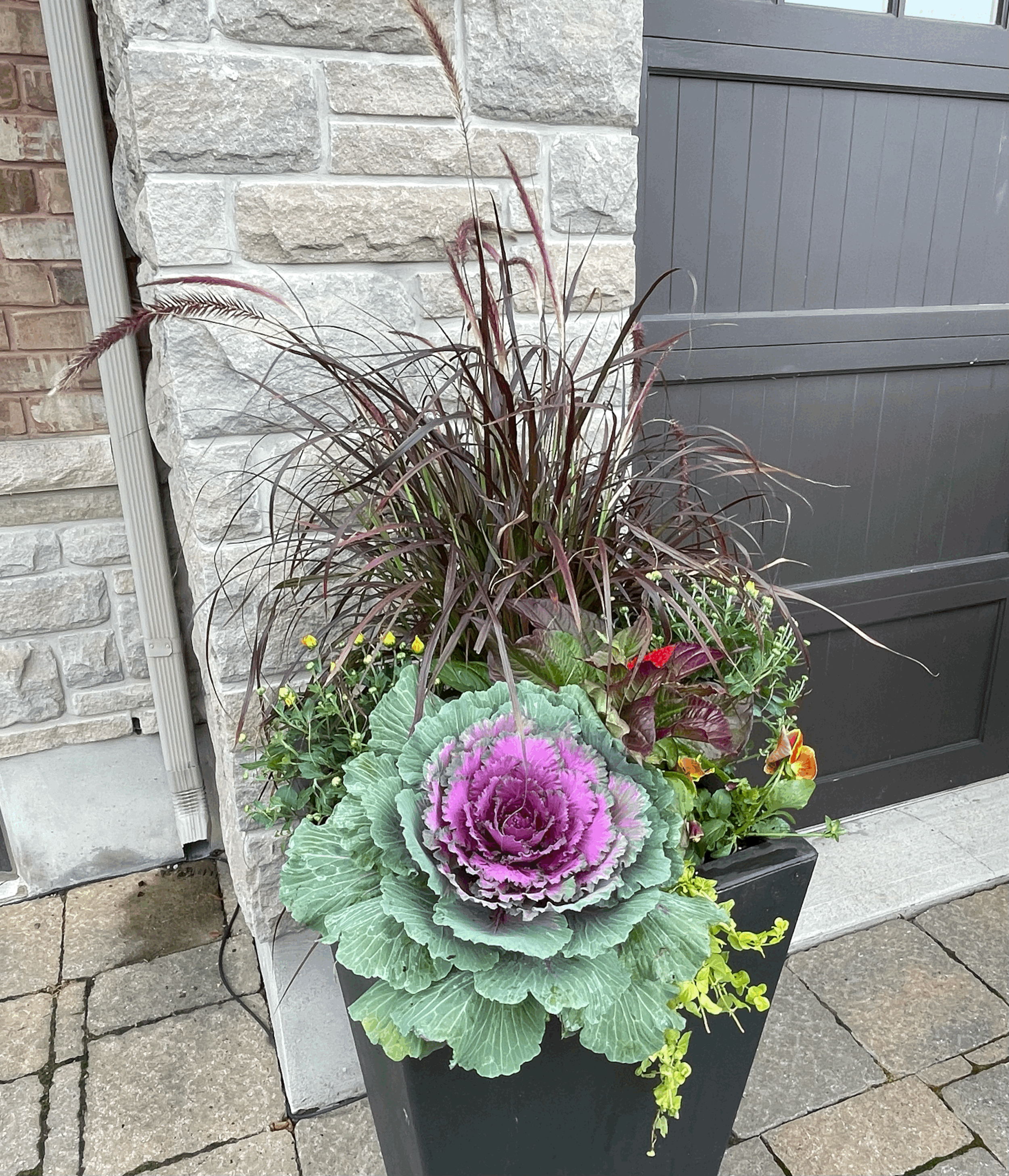 Mixed Fall Planter