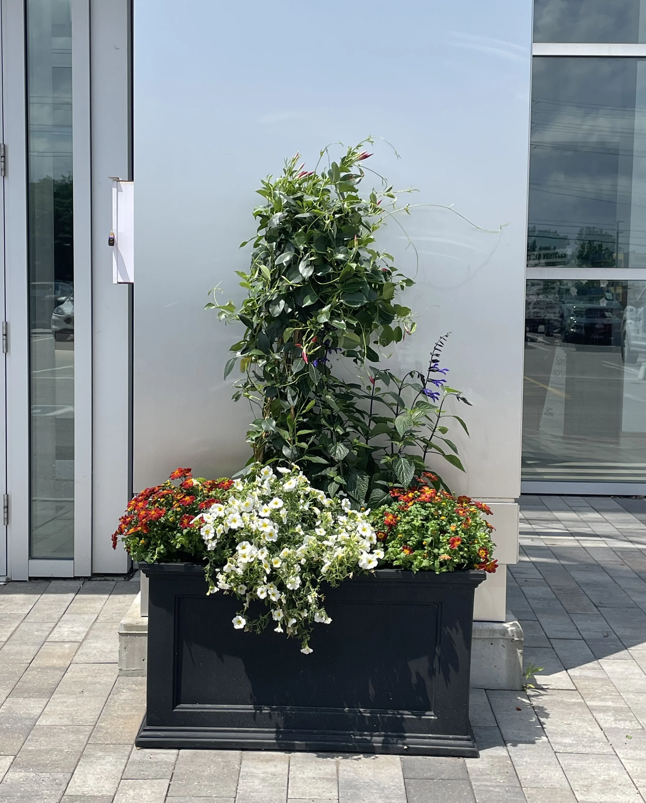 A large beautiful summer planter outside of a business, created by Fleuristic