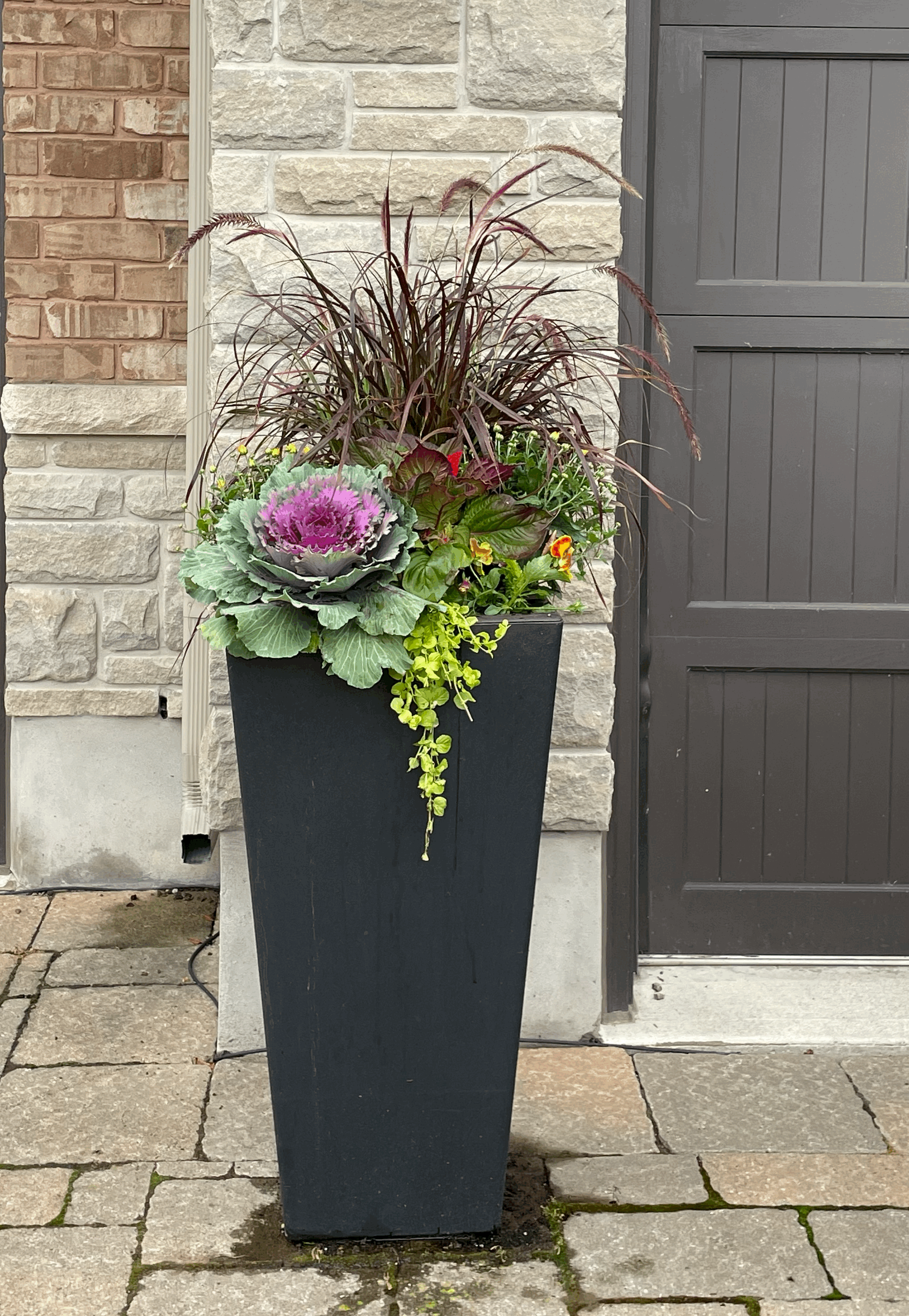 Mixed Fall Planter