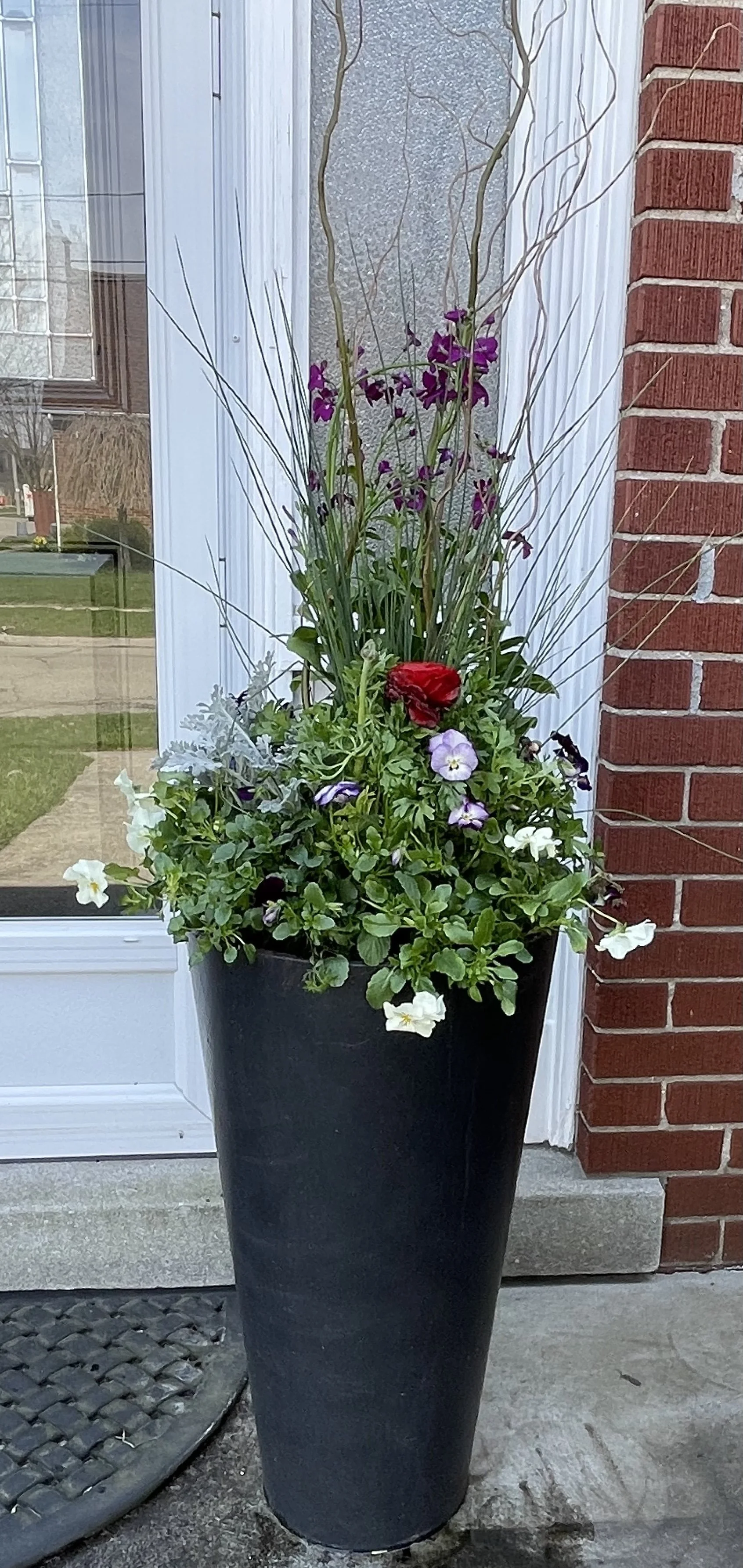 Ranunculus Mix Spring Planter