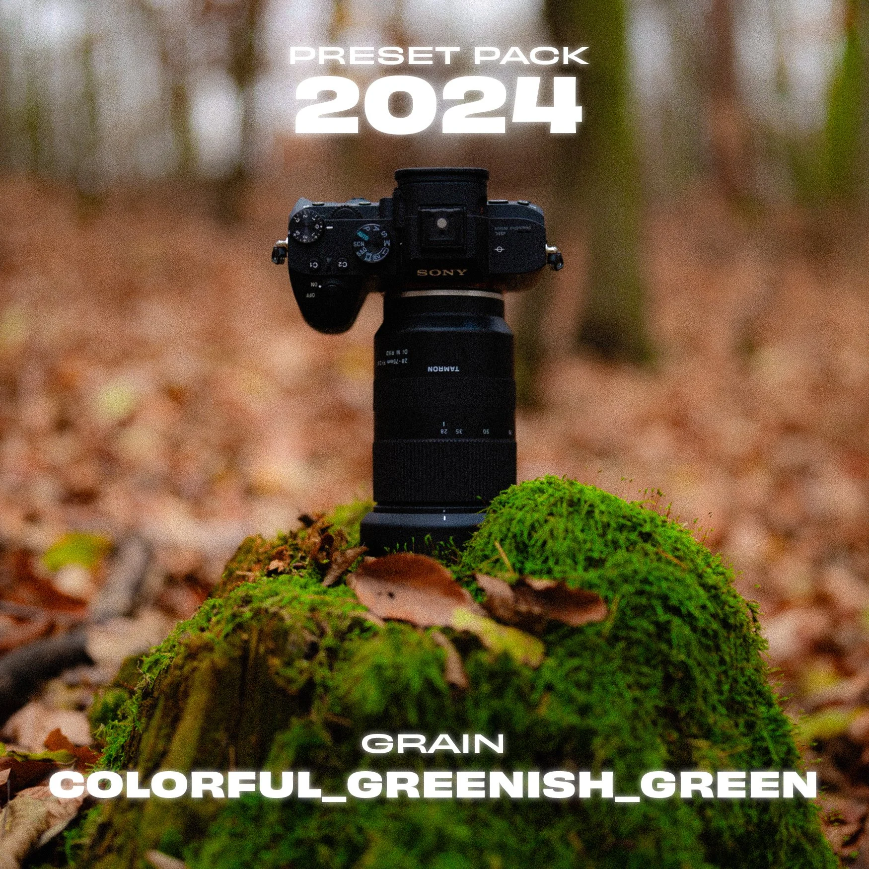 08_GRAIN_COLORFUL_GREENISH_GREEN.jpg