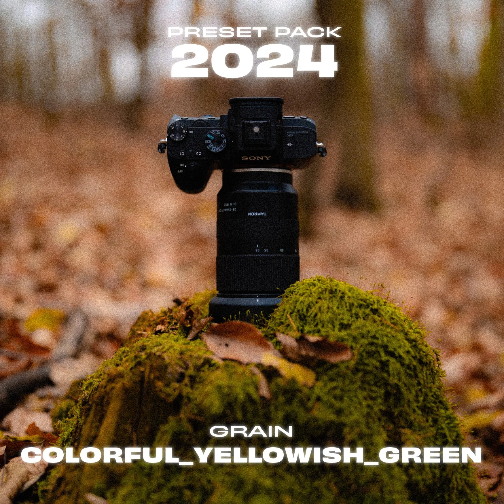09_GRAIN_COLORFUL_YELLOWISH_GREEN.jpg