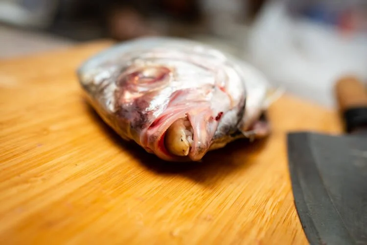 Why parasitic platforms keep feeding on media