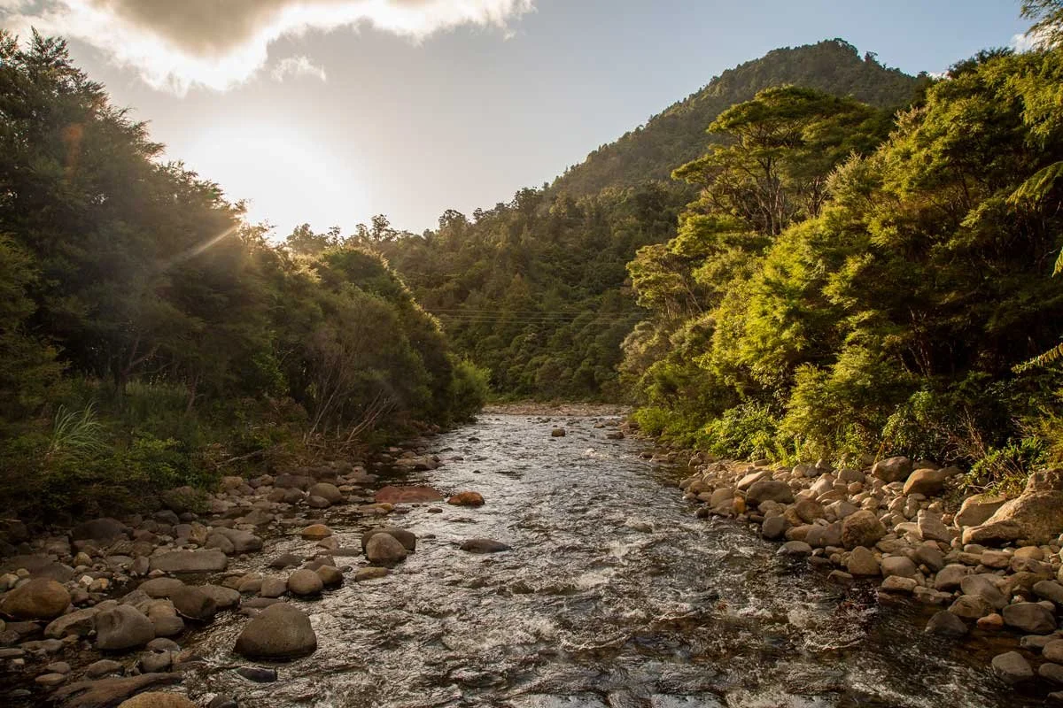 Kauaeranga-river-camp-level 3.jpg