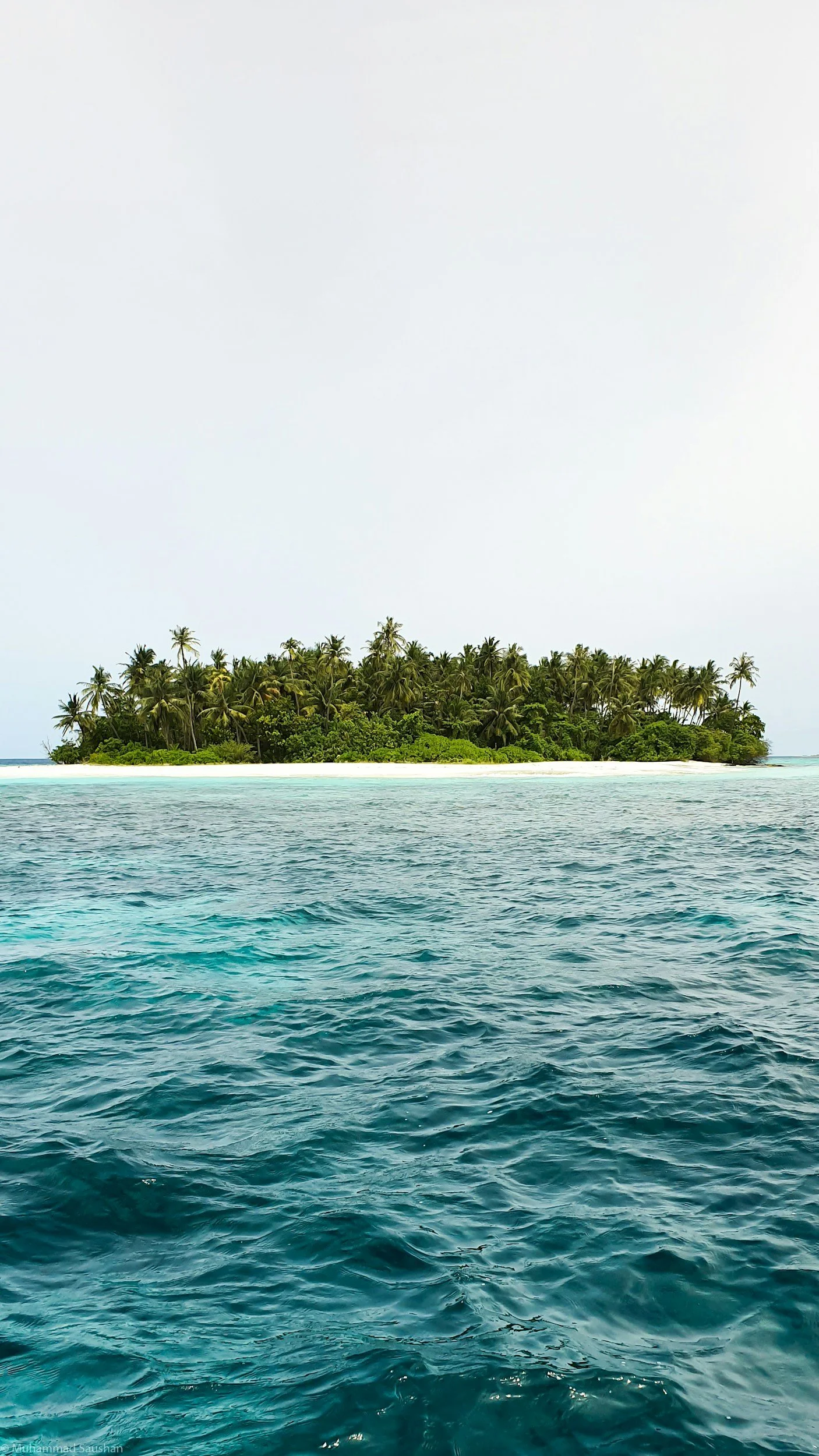 A tropical island with lush green trees and palm trees along the shoreline, surrounded by turquoise ocean water under a clear sky.