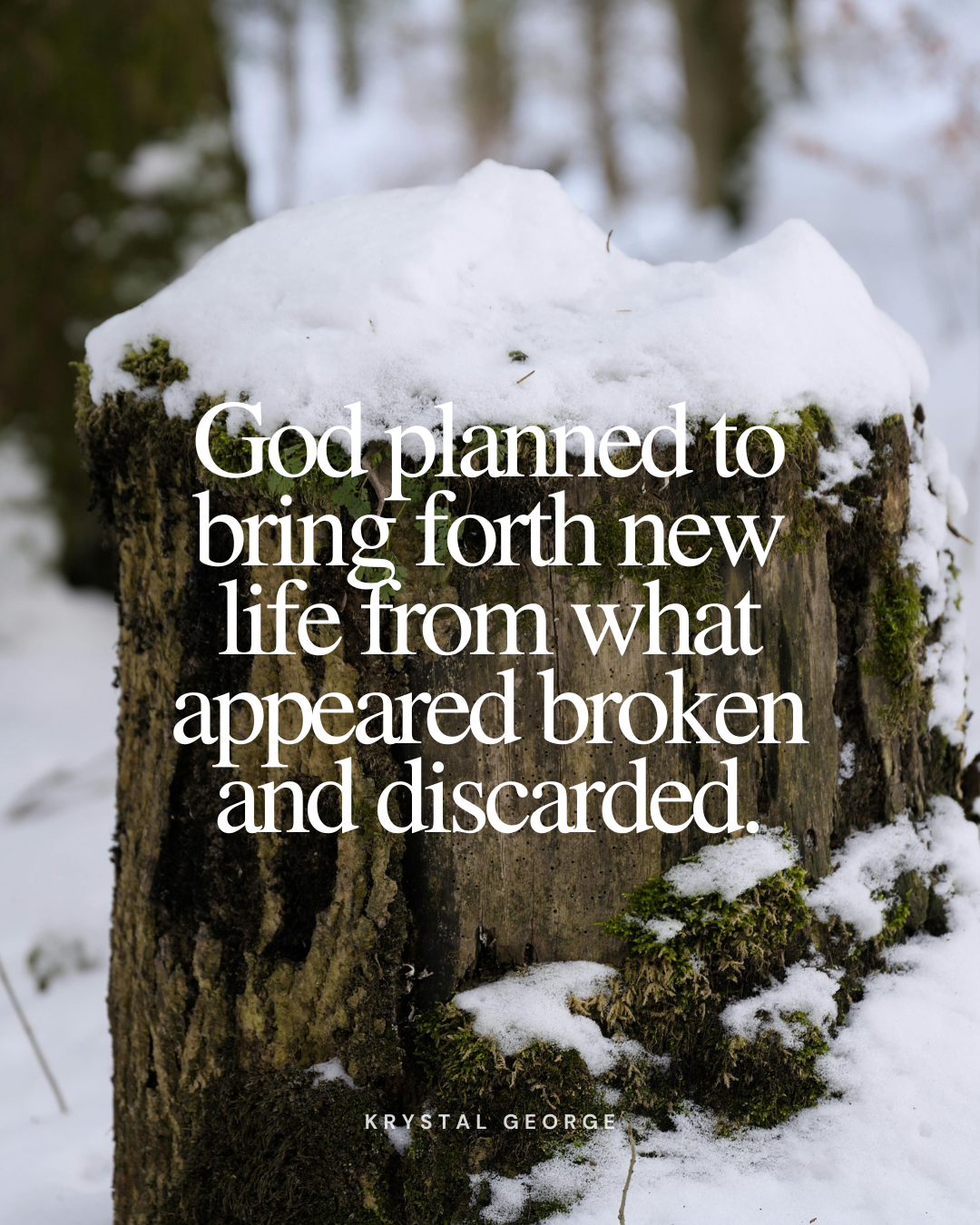New Things Can Come Out of Brokenness