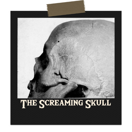 The Screaming Skull
