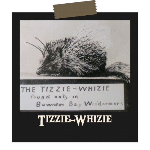 The Tizzie-Whizie