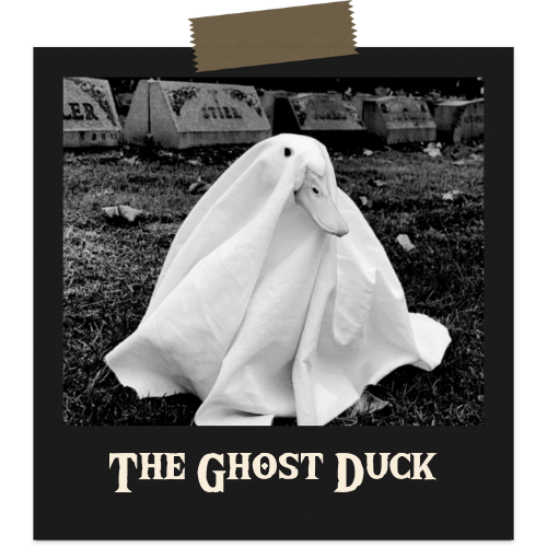 The Ghost Duck