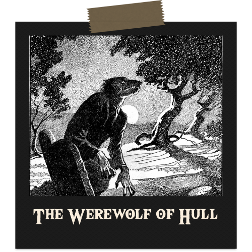 Old Stinker, The Werewolf of Hull