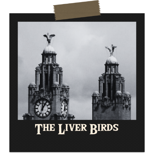 The Liver Birds