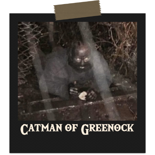 The Catman of Greenock