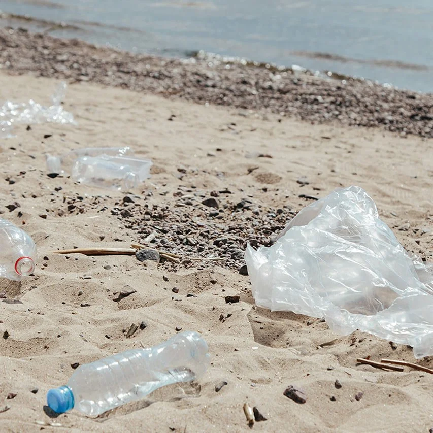 Federal ban on Single-Use Plastics (Copy)