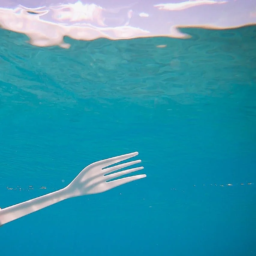 Ban on plastic and bioplastic cutlery