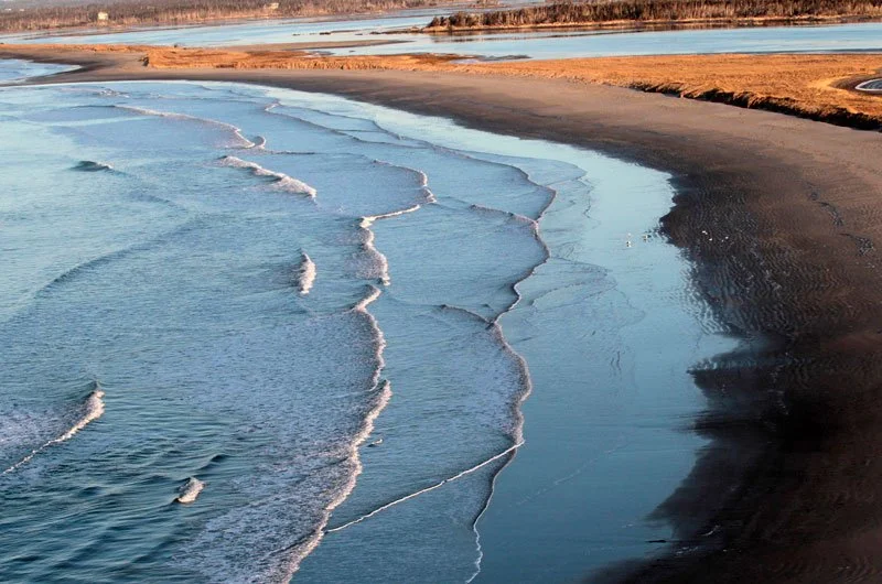 Lawrencetown Beach Cleanup - Surfrider Atlantic
