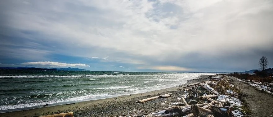UVic Island View Beach Cleanup