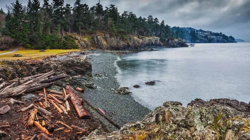 VIU Neck Point Beach Cleanup