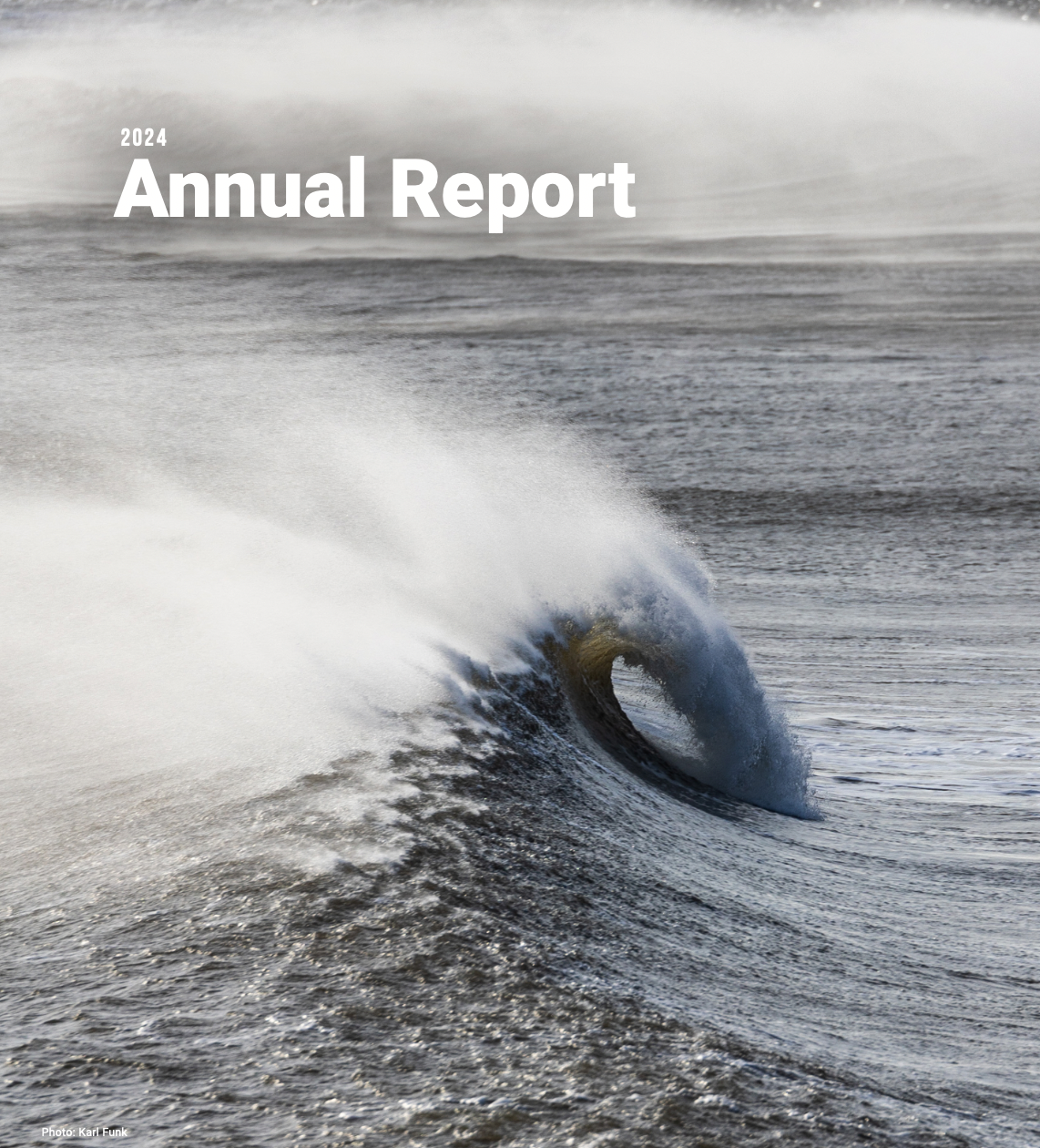 2024 Annual report