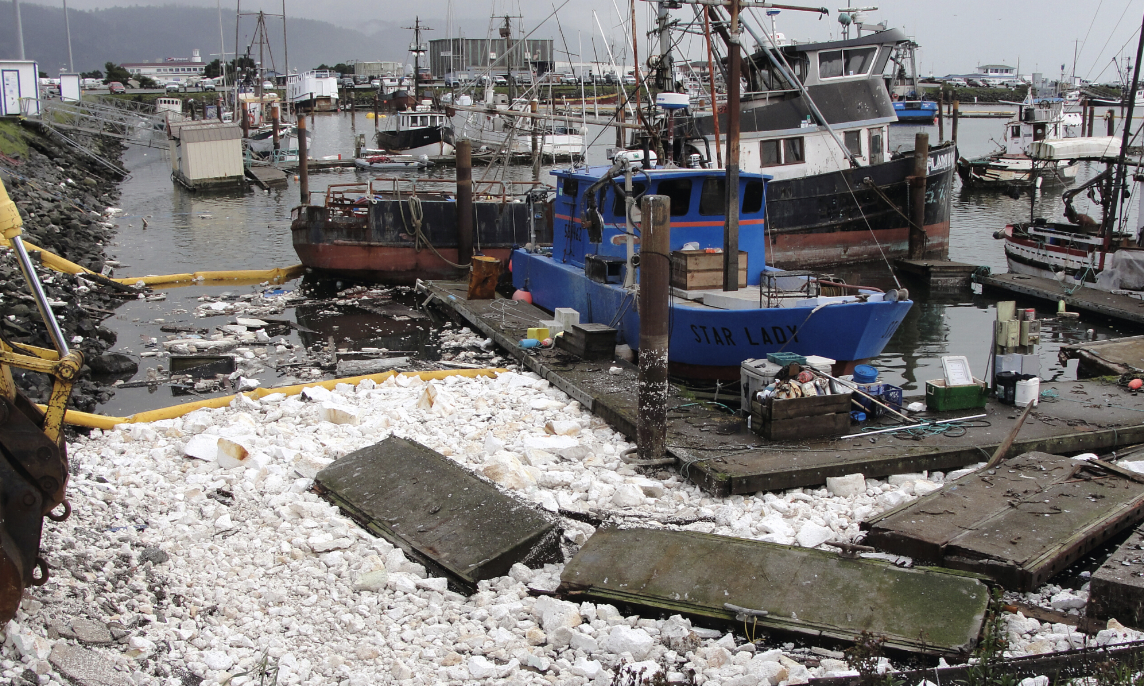 Expanded Polystyrene (EPS) is creating an everyday disaster in BC waters