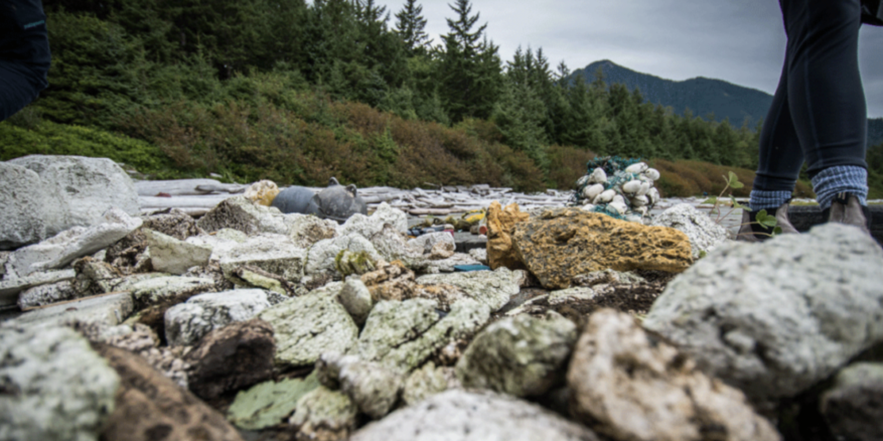 How We Can Join Forces to End Polystyrene Pollution for Cleaner Oceans