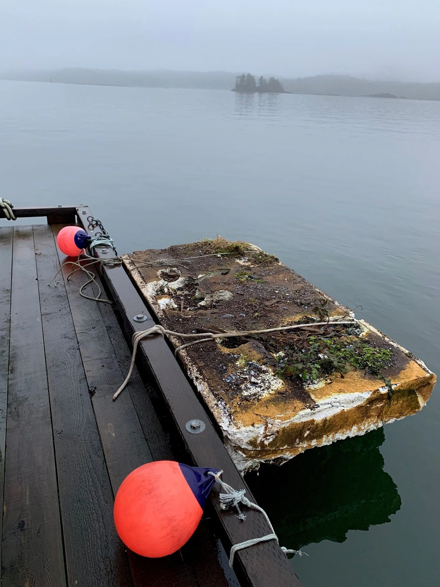 Market and Regulatory Research to Support Prohibition of Expanded Polystyrene (EPS) and Extruded Polystyrene (XPS) in the Marine Environment