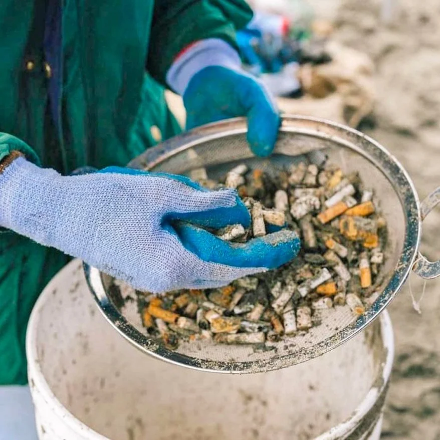 Surfrider Canada cigarette butt collection