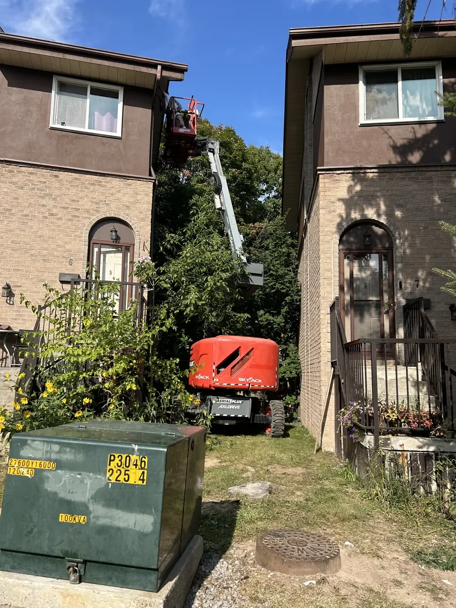 Sout Street Painting_Portfolio_031.webp