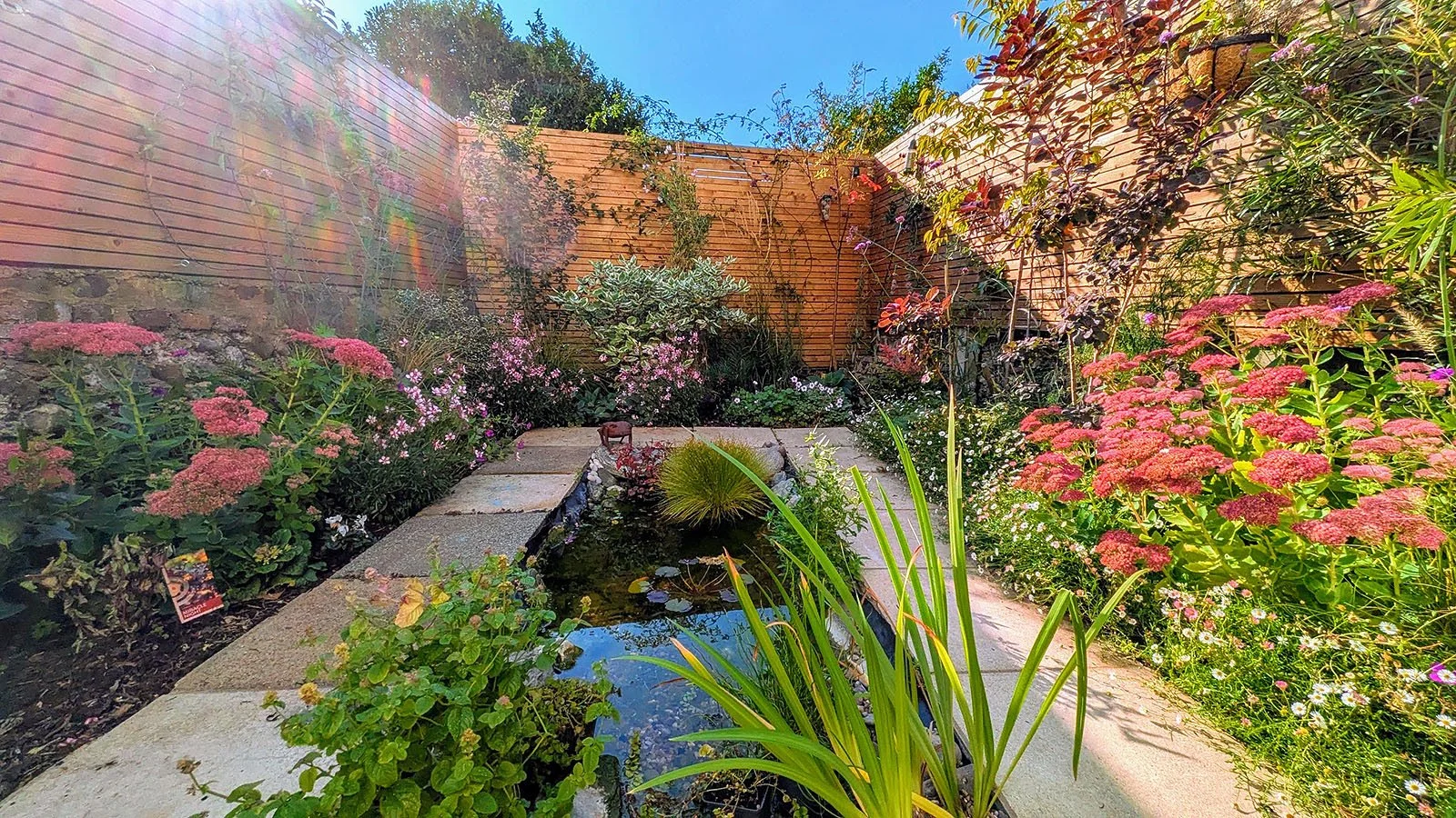 Beautiful rewilded garden with wildlife pond