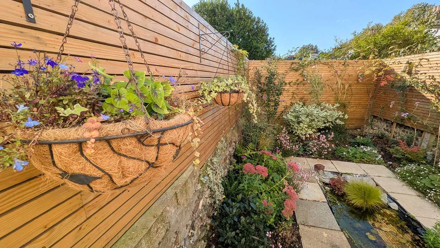 Hanging basket in wildlife garden