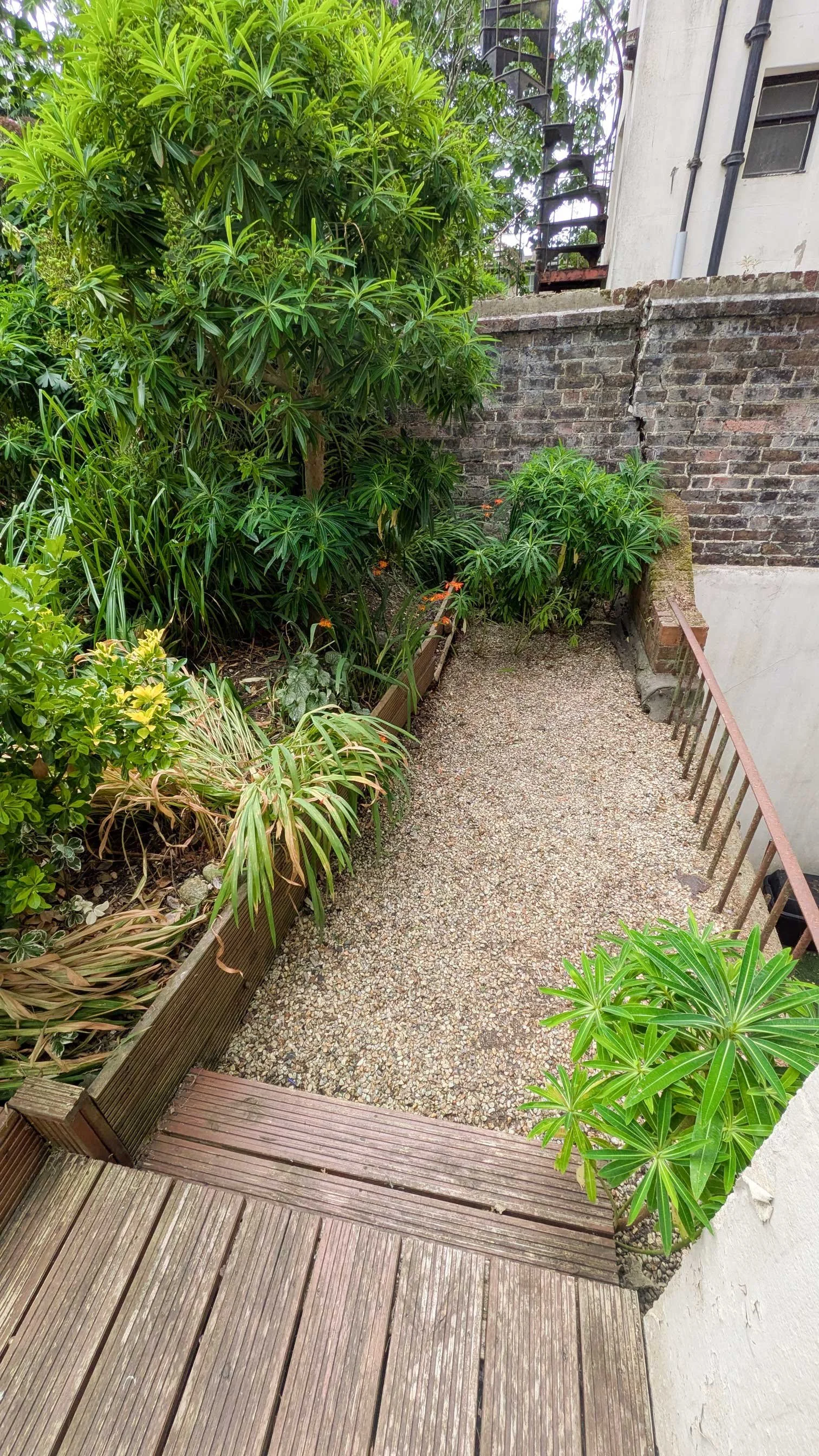 Tidy gravel and shrub borders