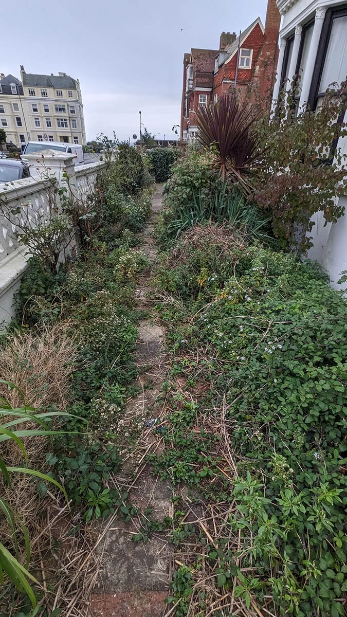 Untidy garden that needs weeding