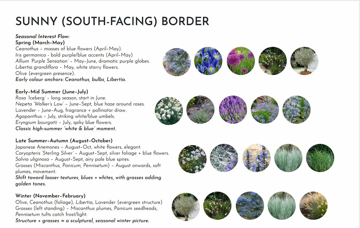 Pictures of plants showing seasonal interest in a border