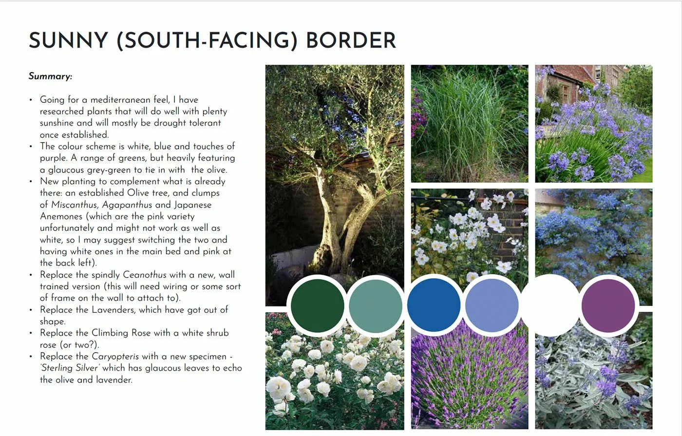 Moodboard to show planting ideas