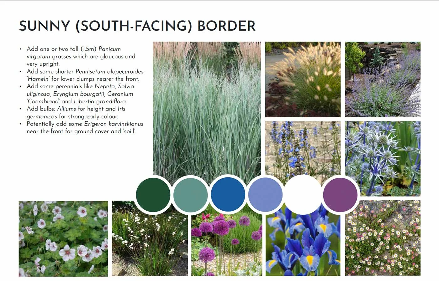 Moodboard to show planting ideas