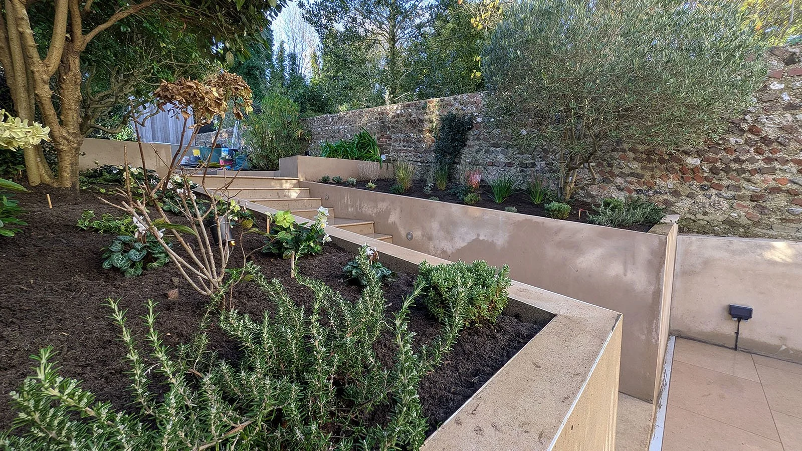 Planting plan for raised borders in retaining walls