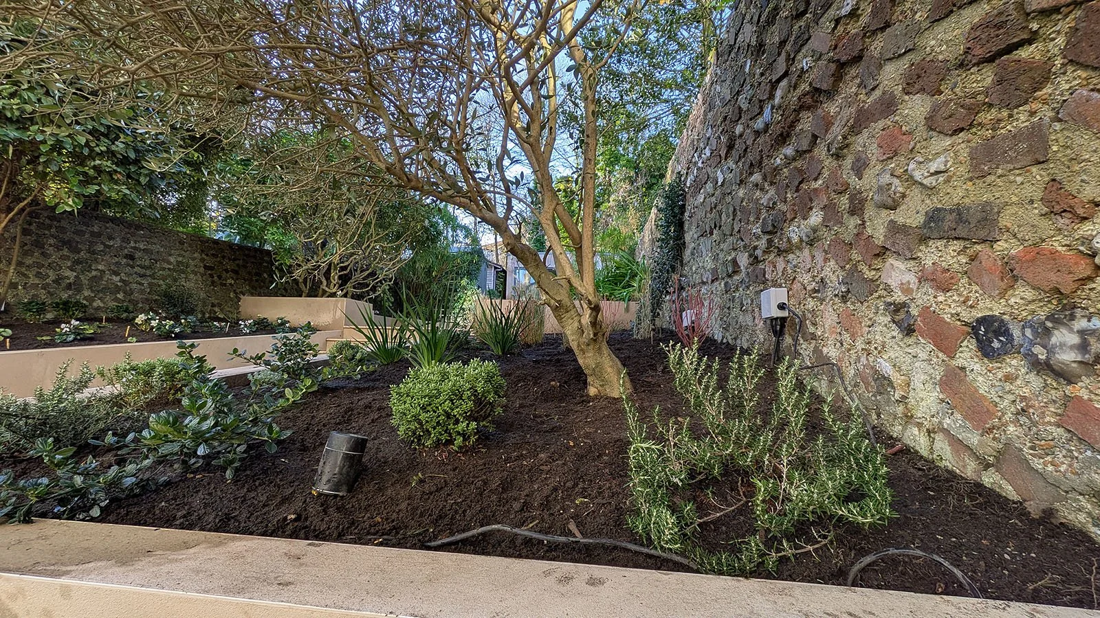 Mediterranean planting scheme