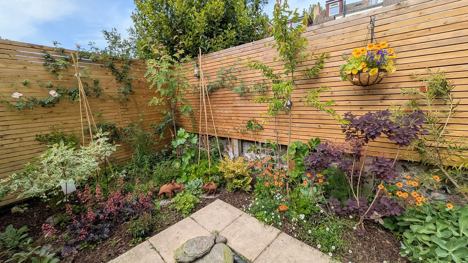 Wildlife garden with trees and hanging baskets