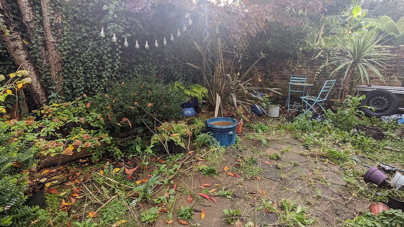Weeds, messy paving and overgrown garden