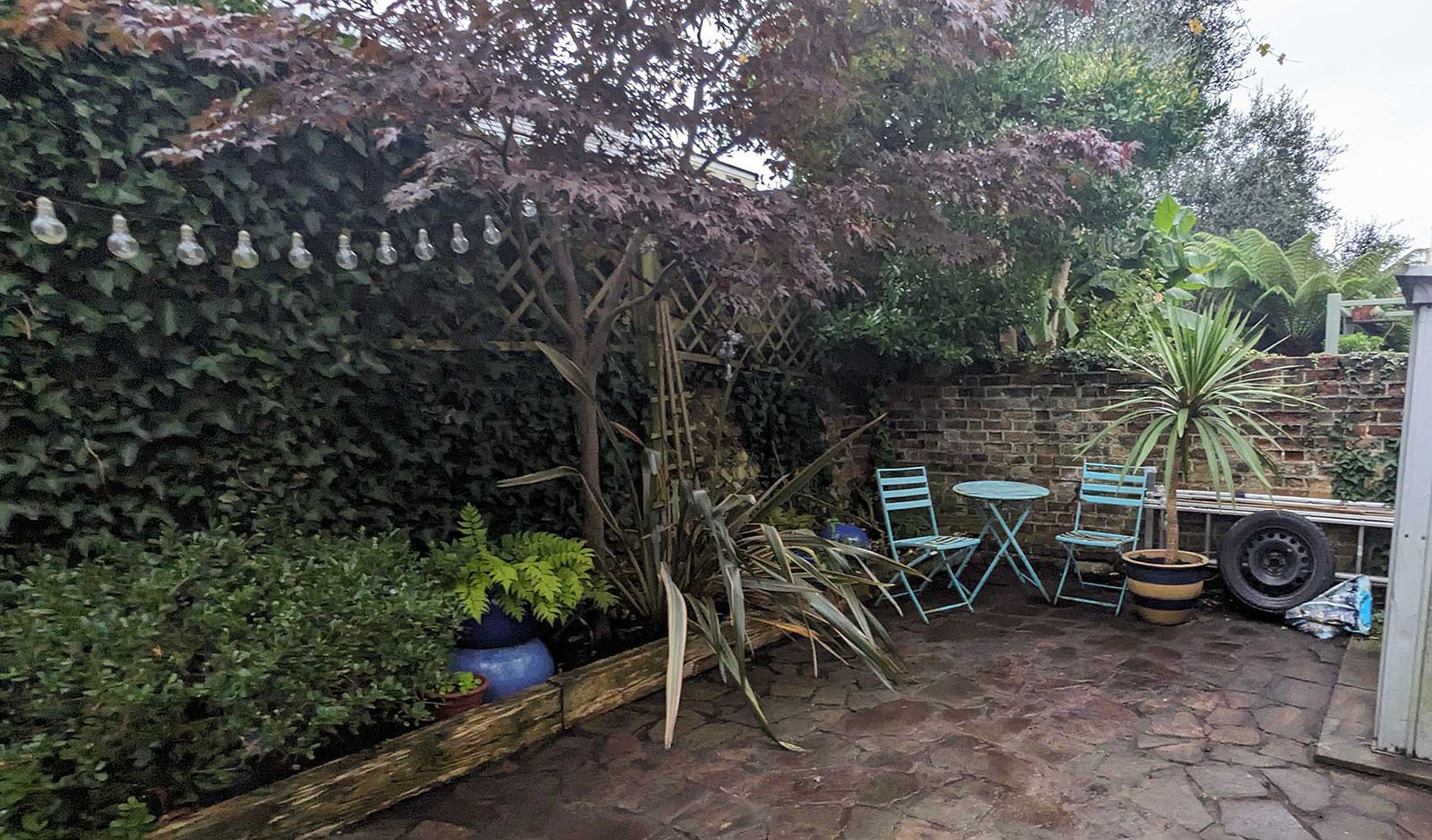 Neat and tidy patio garden